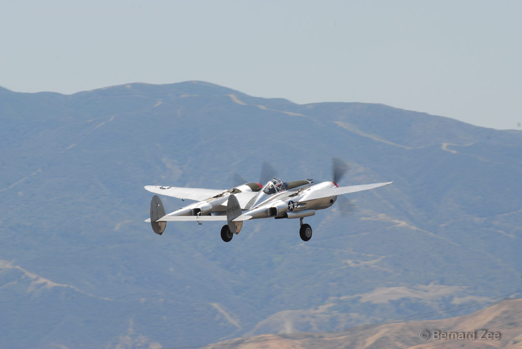 DSZ_8816